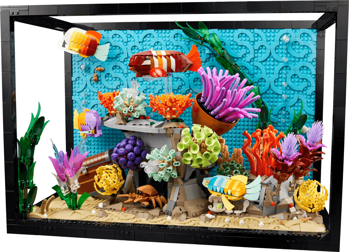 Tropical Aquarium