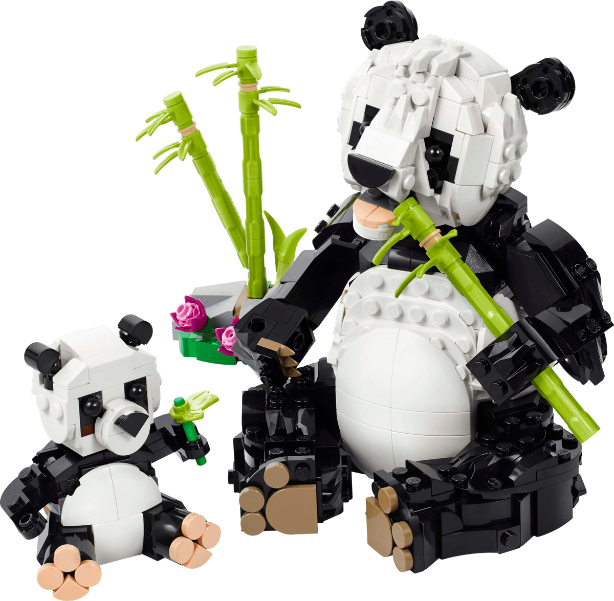 Wild Animals: Panda Family