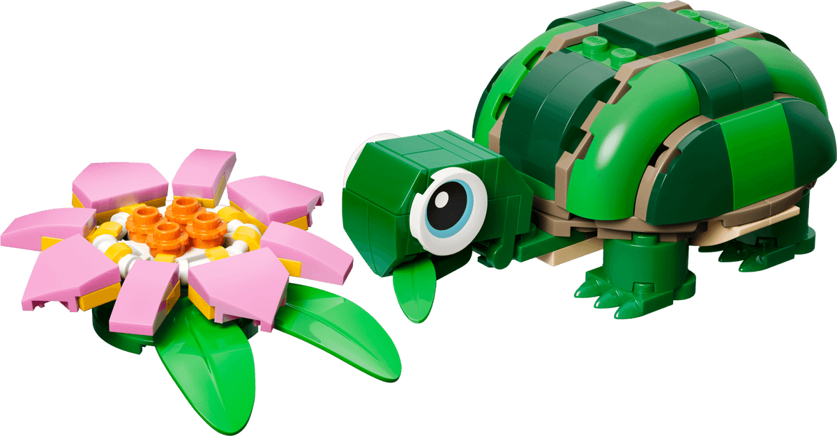 Turtle with a Water Lily Flower