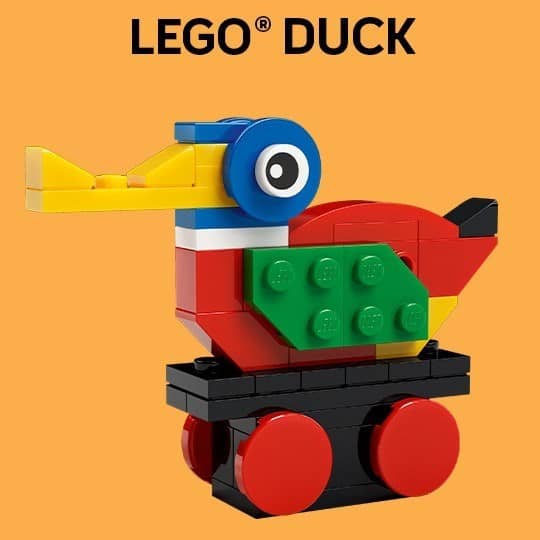 Duck