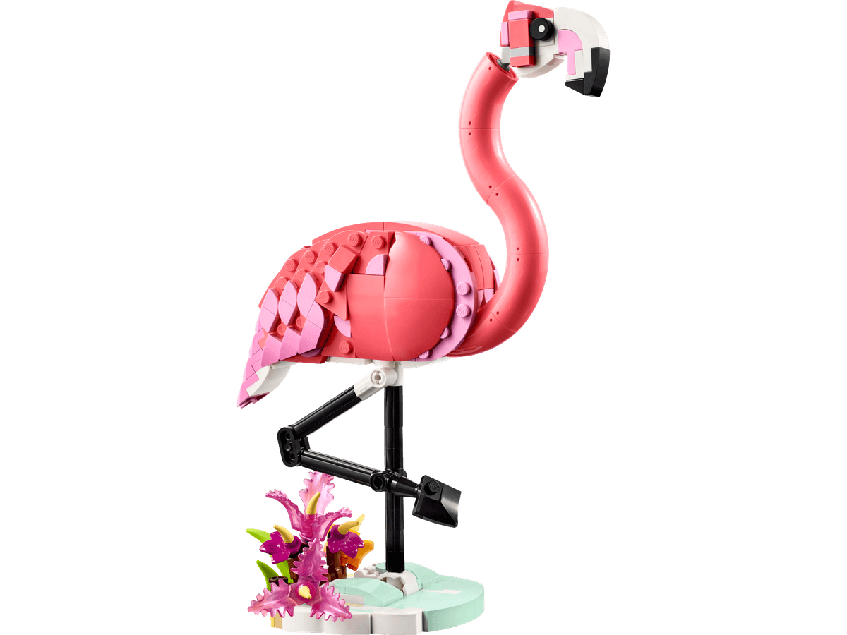 Wild Animals: Pink Flamingo