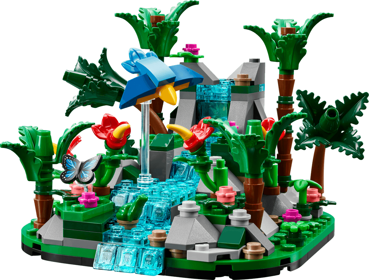 Tropical Rainforest Diorama