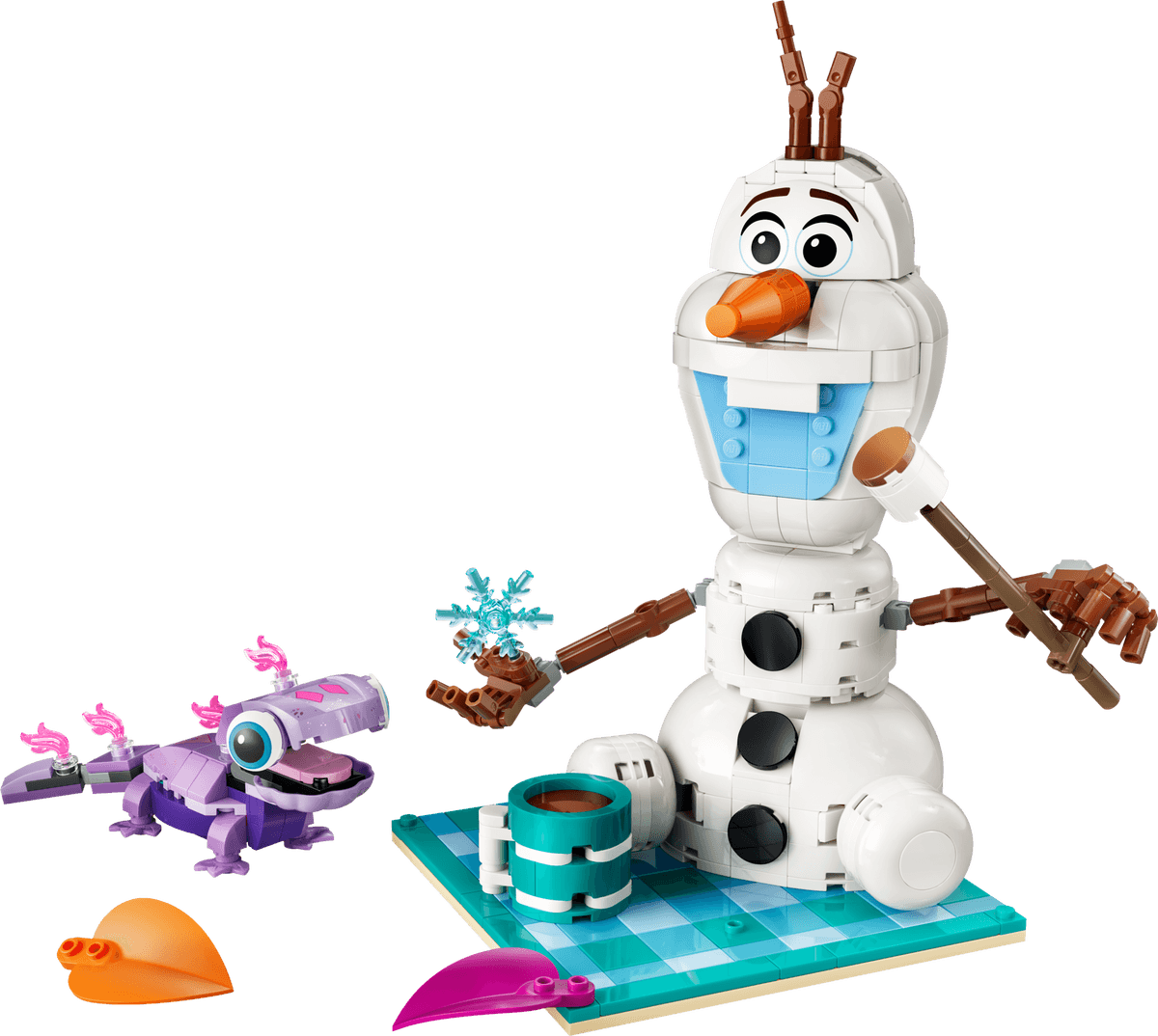 Olaf and Bruni’s Picnic Fun